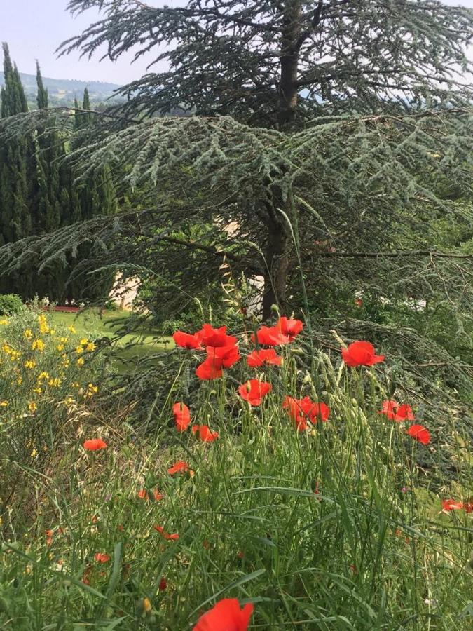Capranica Casale Sant'Elia B&B 외부 사진