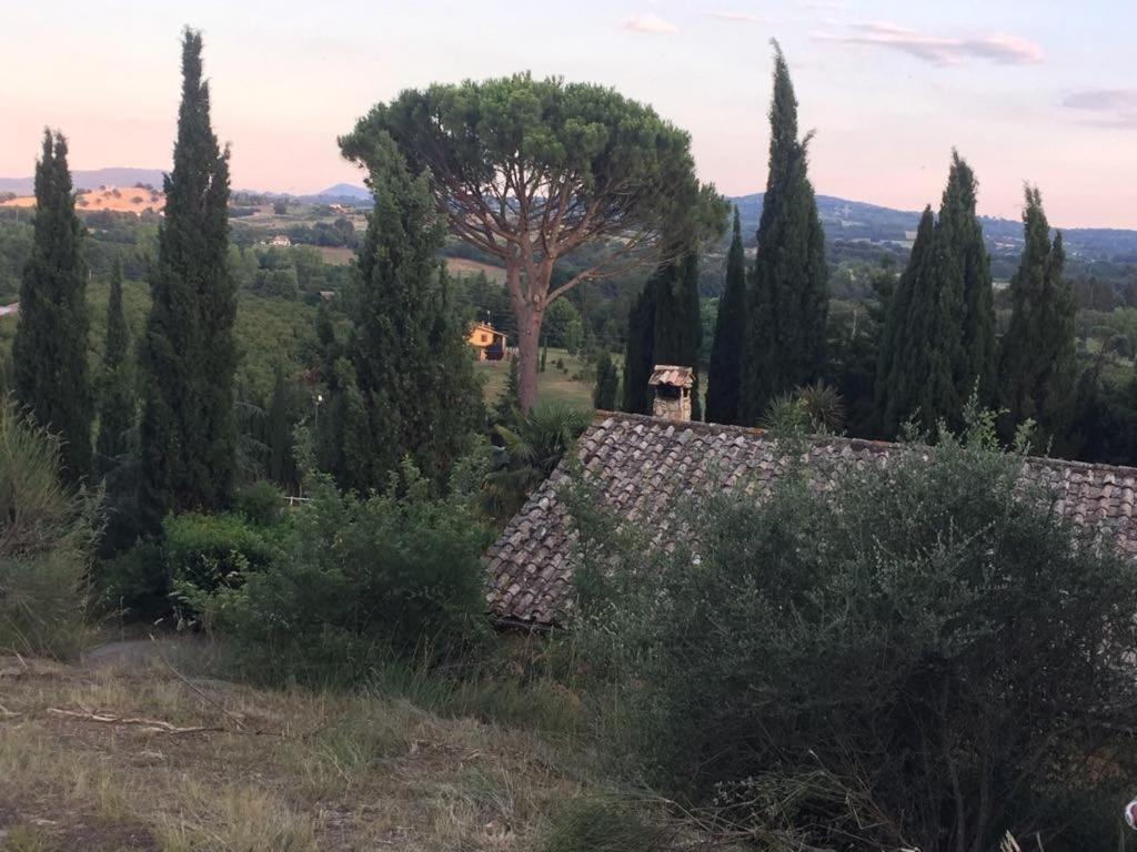 Capranica Casale Sant'Elia B&B 외부 사진